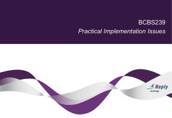 BCBS 239 Practical Implementation Issues - Reply