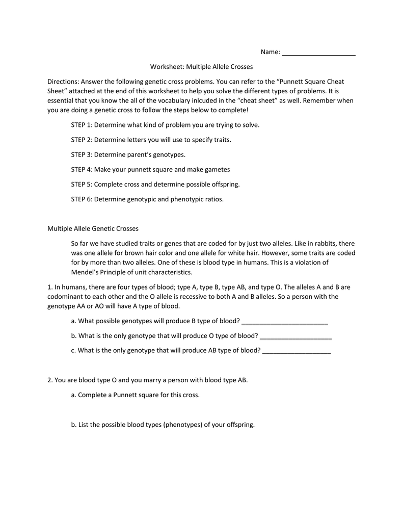 31-blood-type-punnett-square-practice-worksheet-answer-key-support-worksheet