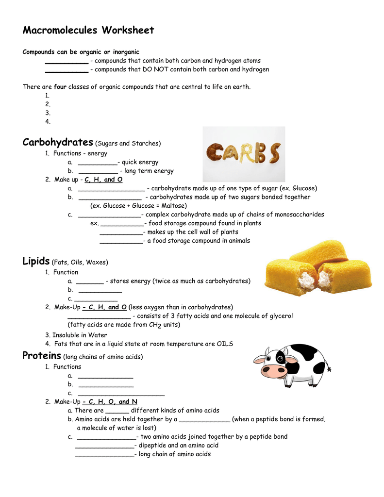 Macromolecules Worksheet - HighMark Charter School In Macromolecules Worksheet 2 Answers