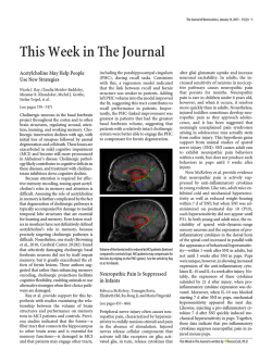 Abstract Browser  - The Journal of Neuroscience