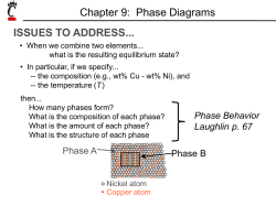 Schaefer Phase Diagrams