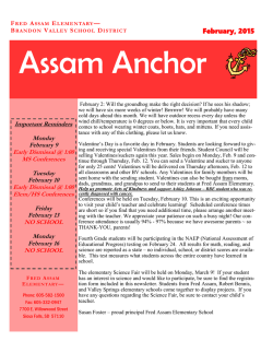 Assam Anchor - Brandon Valley High School