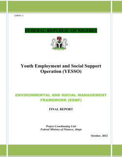 Youth Employment and Social Support Operation (YESSO)
