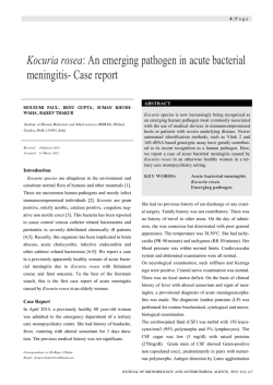 Kocuria rosea: An emerging pathogen in acute bacterial meningitis- Case report