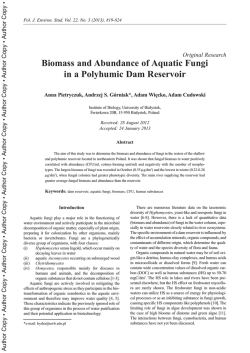 Biomass and Abundance of Aquatic Fungi in a ... - ResearchGate