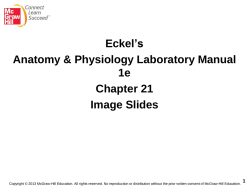 21 - McGraw Hill Higher Education - McGraw