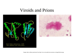 Viroids and Prions - mvhs