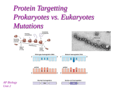 Protein Targetting Prokaryotes vs. Eukaryotes - mvhs