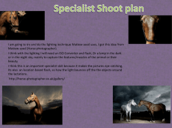 Photo shoot plan