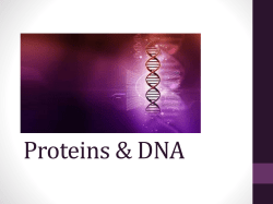 Proteins & DNA