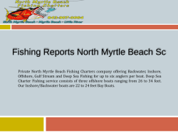 Fishing Reports North Myrtle Beach Sc