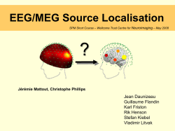 EEG/MEG - Wellcome Trust Centre for Neuroimaging