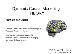 Dynamic Causal Modelling Workshop SPM Course Hamburg 2009