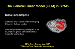GLM - Wellcome Trust Centre for Neuroimaging
