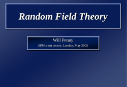 Statistical Inference, Multiple Comparisons, Random Field Theory