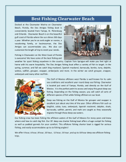 Best Fishing Clearwater Beach