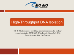 High-Throughput DNA Isolation