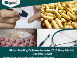 Global Feeding Cellulose Industry 2015 Deep Market Research Report