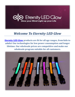 Led Dog Collars by Eternity LED Glow
