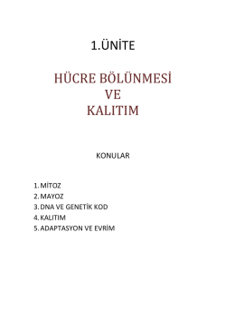 "B&ouml;cek&ccedil;i" polisler tutuklandı