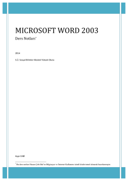 Microsoft Word 2003