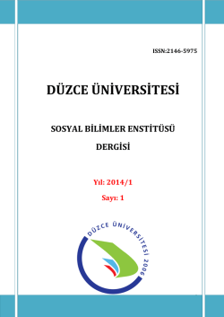 Düzce Üniversitesi Sosyal Bilimler Enstitüsü Dergisi, Yil