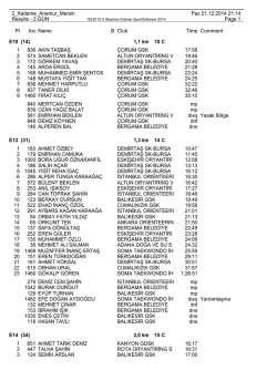 Kategorilere göre Sonuçlar