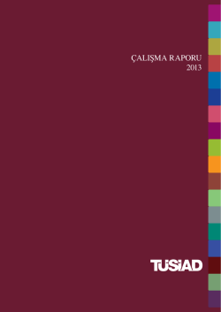 TÜSİAD Faaliyet Raporu 2013
