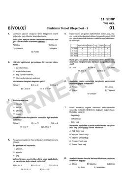 04. BiYOLOJi 11 MESLEK KK