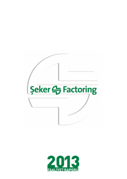 2013 Faaliyet Raporu