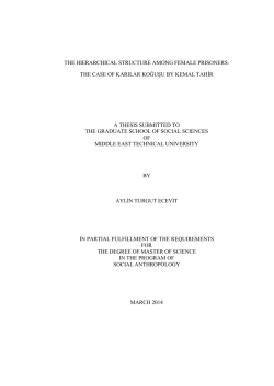 the hierarchical structure among female prisoners
