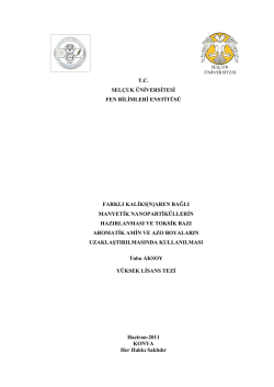 tc sel&ccedil;uk &uuml;niversitesi fen bilimleri enstit&uuml;s&uuml; farklı kaliks[n]