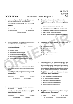 11. SINIF COĞ KAVRAMA 2013