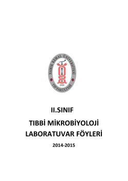 ıı.sınıf tıbbi mikrobiyoloji laboratuvar föyleri - E