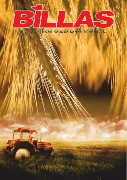 Publication (4,81 MB)