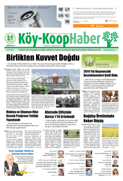 Birlikten Kuvvet Doğdu - Köy