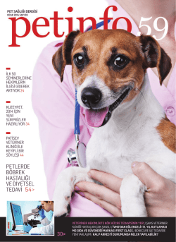 Tek D&Uuml; M&uuml;hendislik Fak&uuml;ltesi - Yaz &Ouml;ğretimi 2014