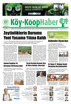 Zeytinliklerin Durumu Yeni Yasama Yılına Kaldı - Köy