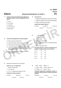 Katılımcı Rehberi