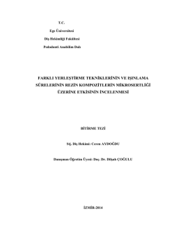 1290 - Ege Üniversitesi Diş Hekimliği Fakültesi