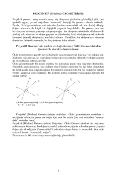 PROJEKT˙IF (Düzlem) GEOMETR˙I(S˙I): Projektif geometri