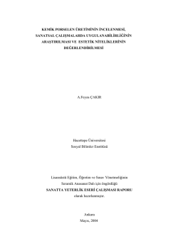 kemik porselen &uuml;retiminin incelenmesi, sanatsal