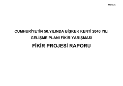 FİKİR PROJESİ RAPORU