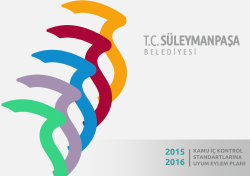 2015-2016 yılı i&ccedil; kontrol eylem planı