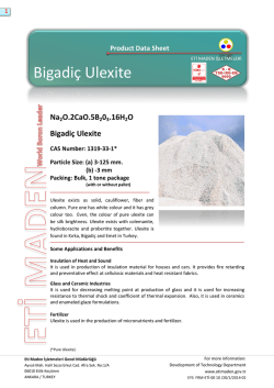 Bigadi&ccedil; Ulexite - Eti Maden İşletmeleri