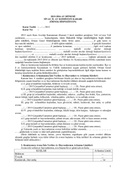 2015-2016 &ouml;rnek dispozisyon