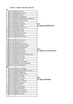 3.SINIF A GRUBU PRATİK LİSTESİ