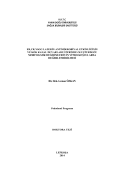 Leman Ozkan Thesis - NEU Grand Library