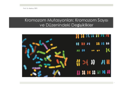 9. Kromozom Mutasyonları-Kromozom Sayısı ve D&uuml;zenindeki
