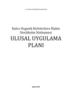 ulusal uygulama planı